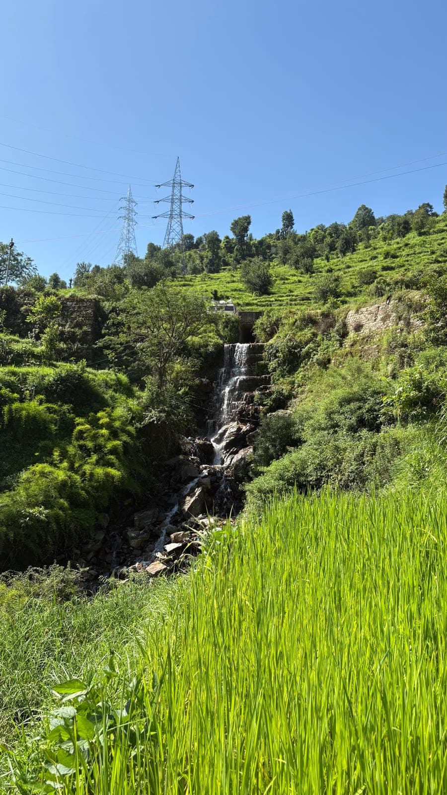 Waterfall amid green terraced fields near Guptkashi